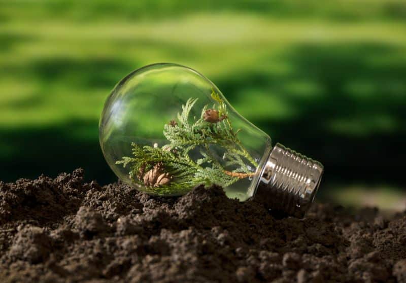 Ekoprodukcja energii w Polsce – czy naprawdę się opłaca?