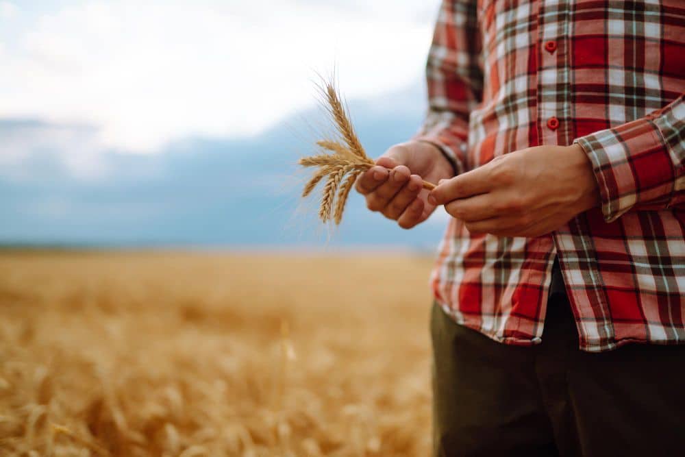 Dożynki – Święto Plonów, które łączy tradycję z nowoczesnością